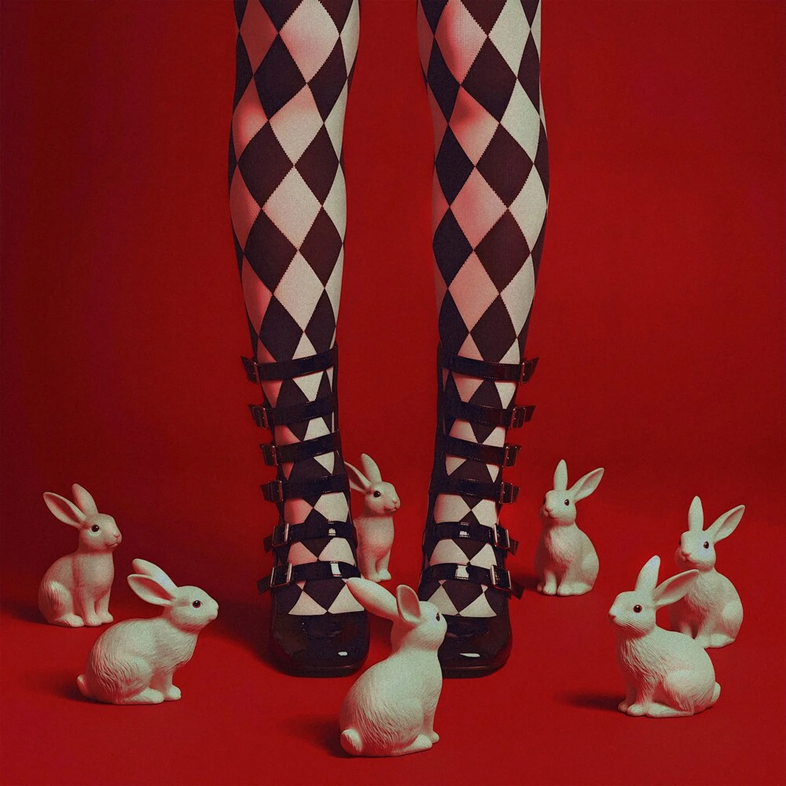 Белый кролик