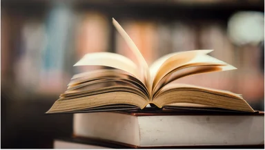 Профессор МГИМО объяснил, о чём на самом деле роман Симоньян