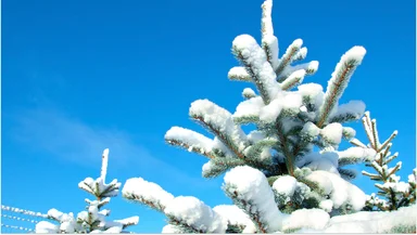 Синоптик предупредил о возвращении зимы в Центральную Россию