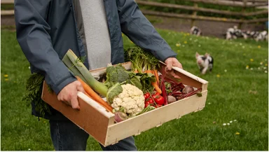 Нужно ли платить налоги с продажи дачного урожая